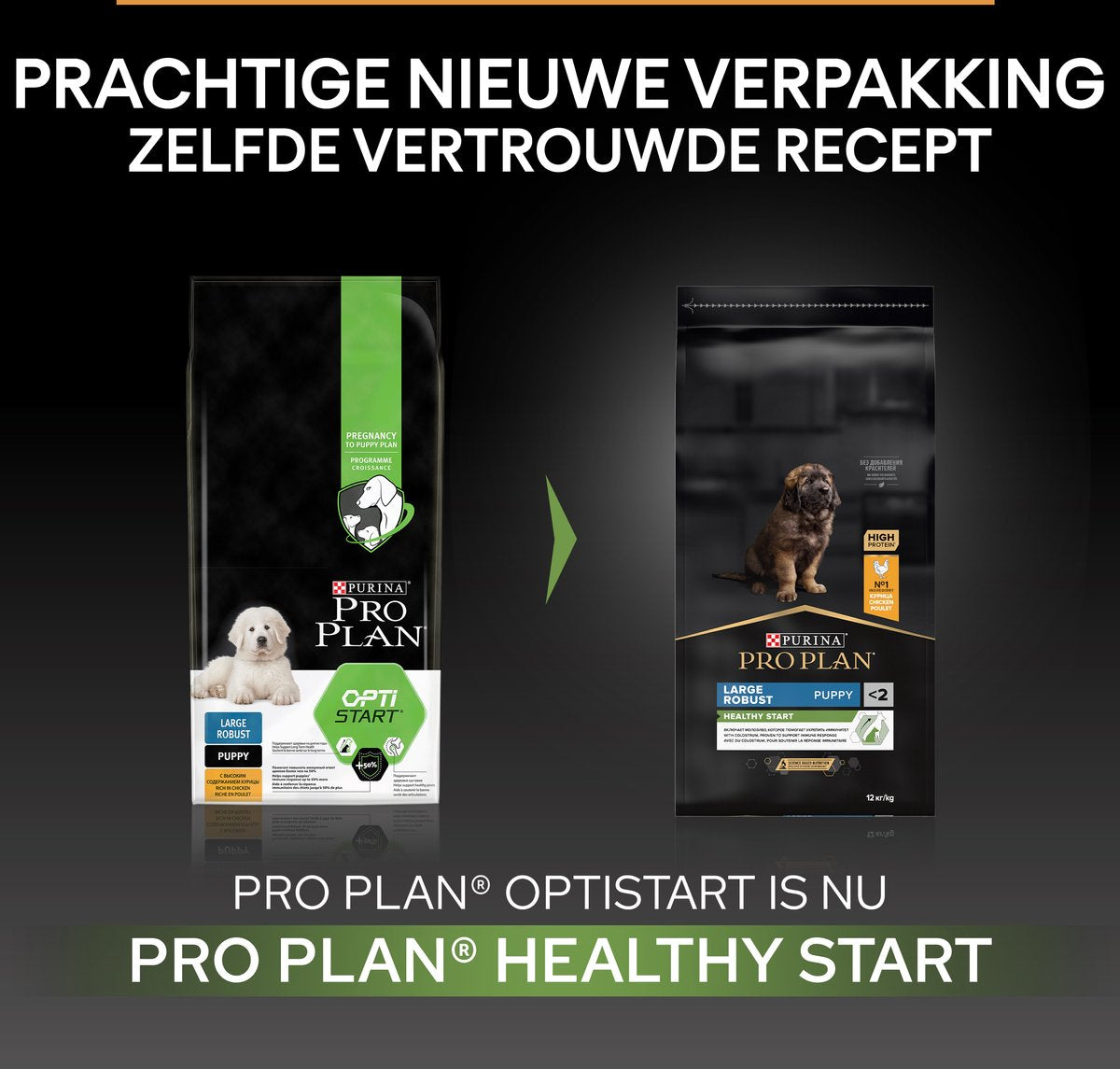 PURINA PRO PLAN Large Robust Puppy