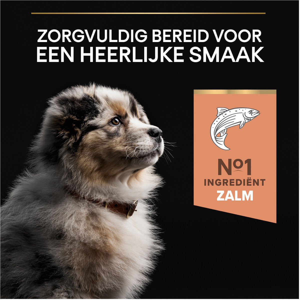PURINA PRO PLAN Sensitive Skin Medium Puppy - Zalm - 12 kg