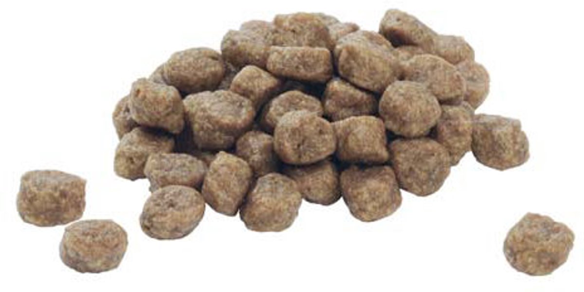 PURINA PRO PLAN Large Robust Puppy