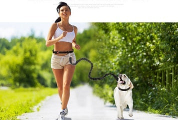 Szybko sprzedający się nowy pas fitness fabryczny, nylonowa lina dla psa, sportowe produkty dla zwierząt, lina trakcyjna dla psa do biegania