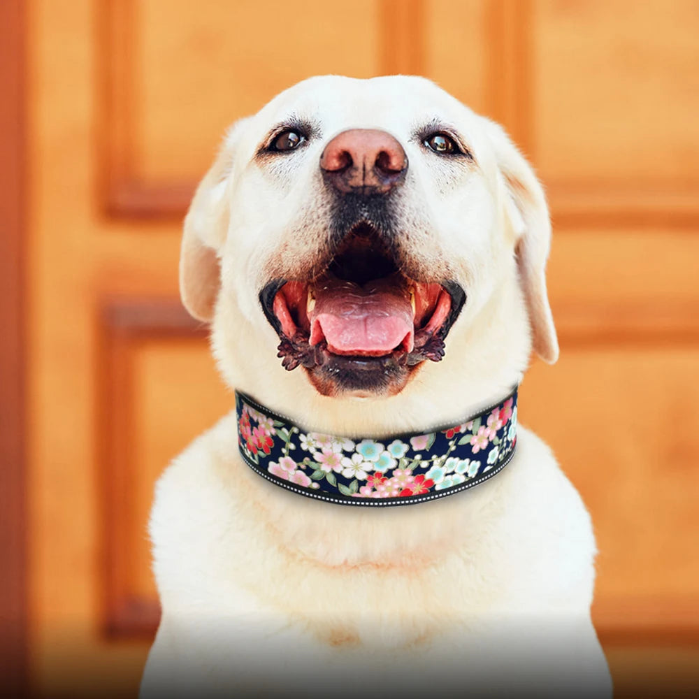 Nylon Dog Collar Reflective