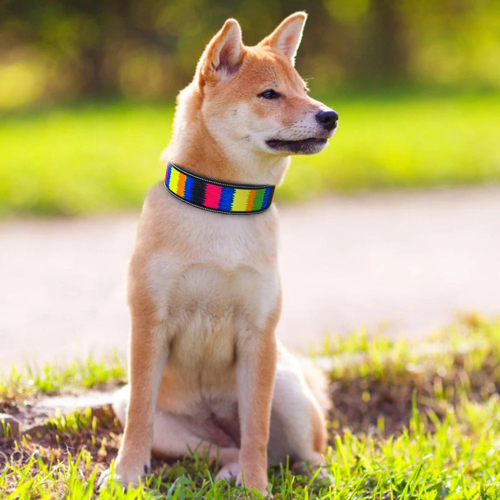 Nylon Dog Collar Reflective