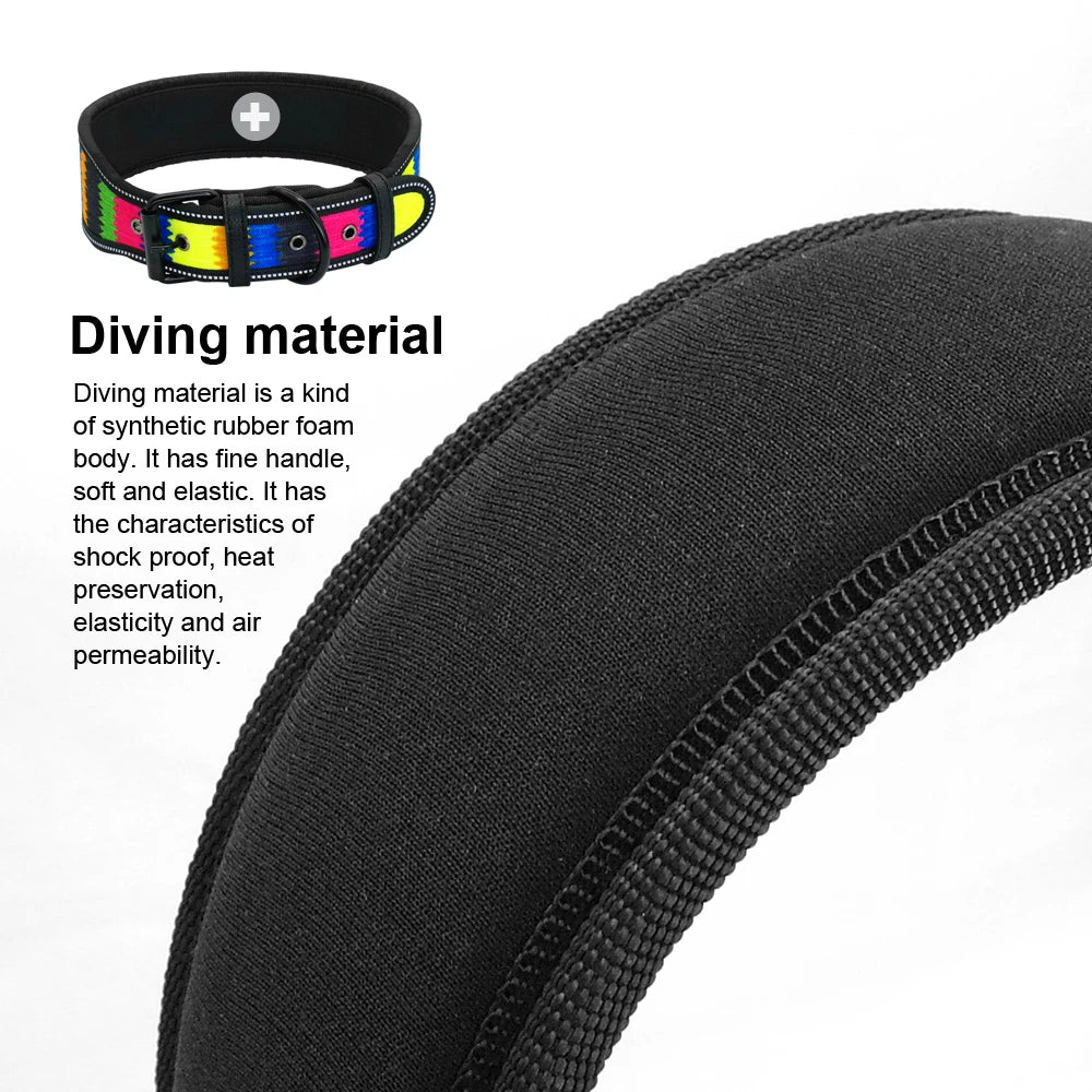 Nylon Dog Collar Reflective