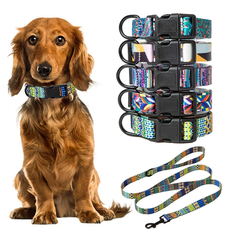Pet Collar and Leash Set