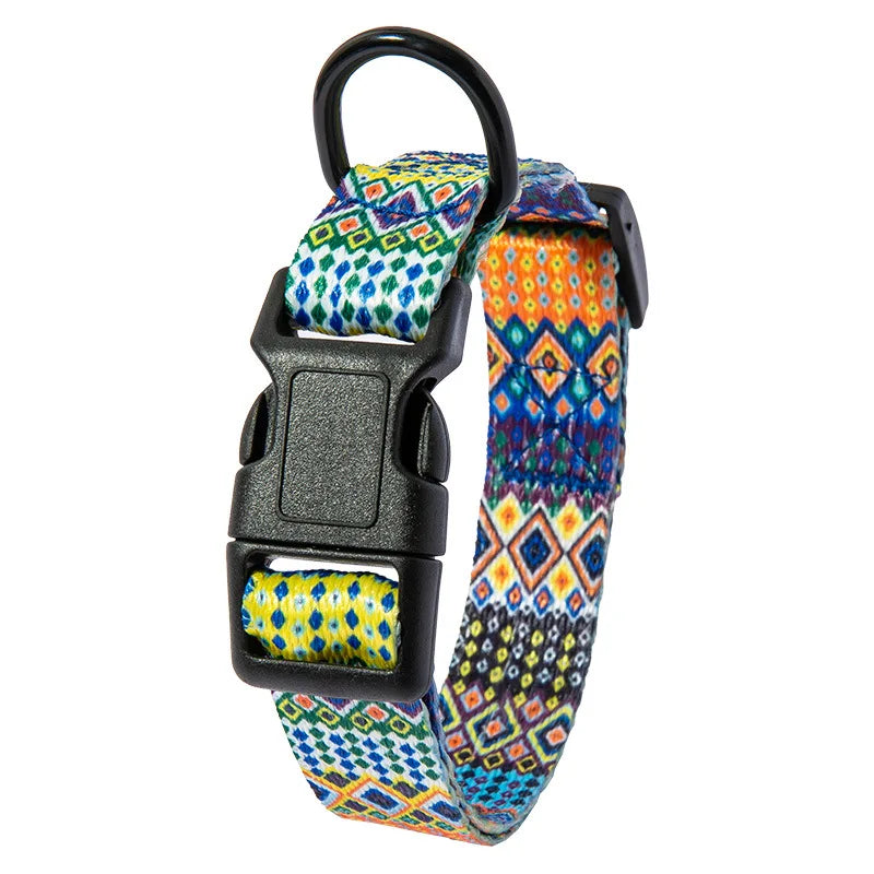 Pet Collar and Leash Set