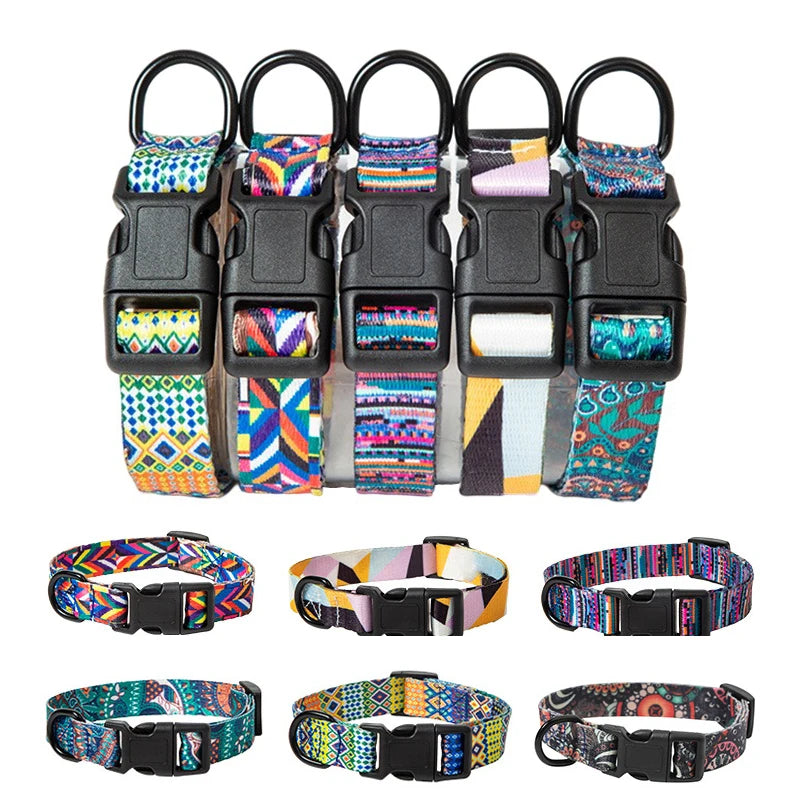 Pet Collar and Leash Set