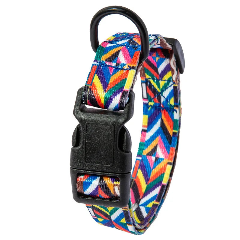 Pet Collar and Leash Set