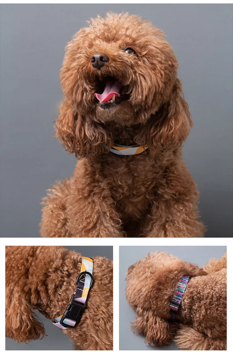 Pet Collar and Leash Set