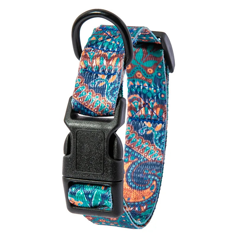 Pet Collar and Leash Set