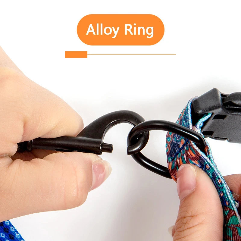 Pet Collar and Leash Set