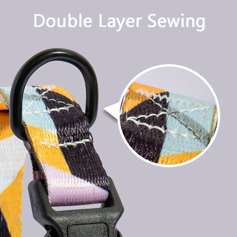 Pet Collar and Leash Set