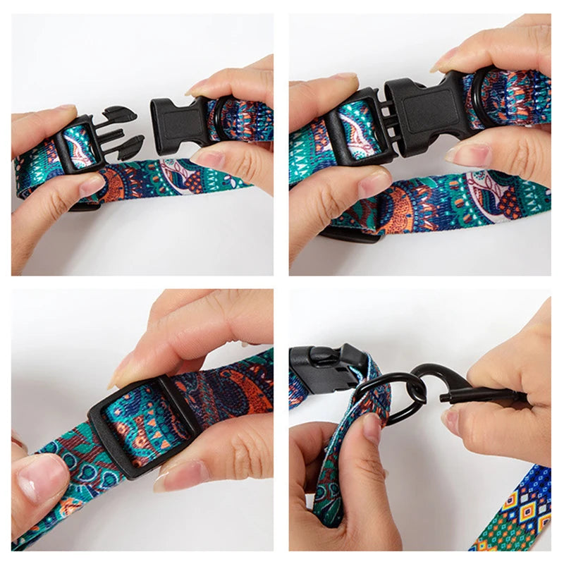 Pet Collar and Leash Set