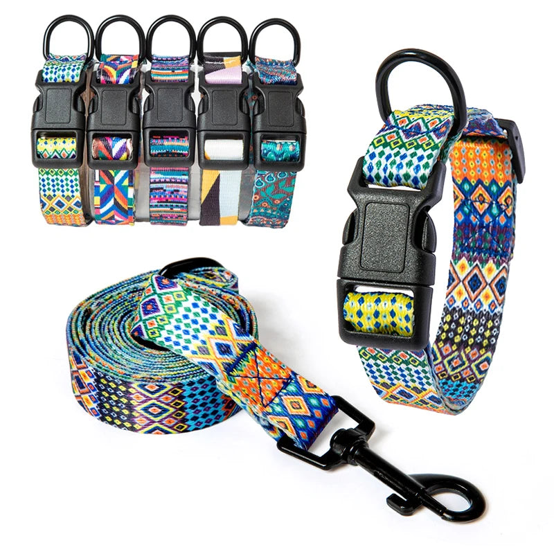 Pet Collar and Leash Set