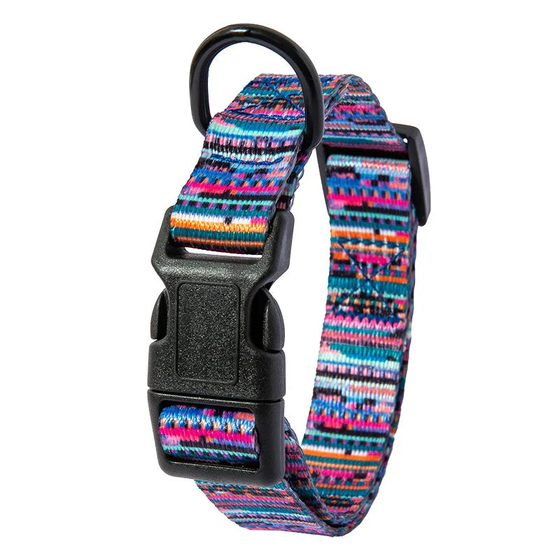 Pet Collar and Leash Set