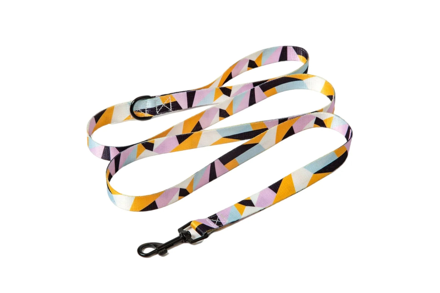 Pet Collar and Leash Set