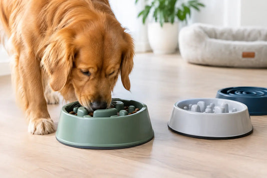 Beste anti-schrokbakken voor honden kiezen