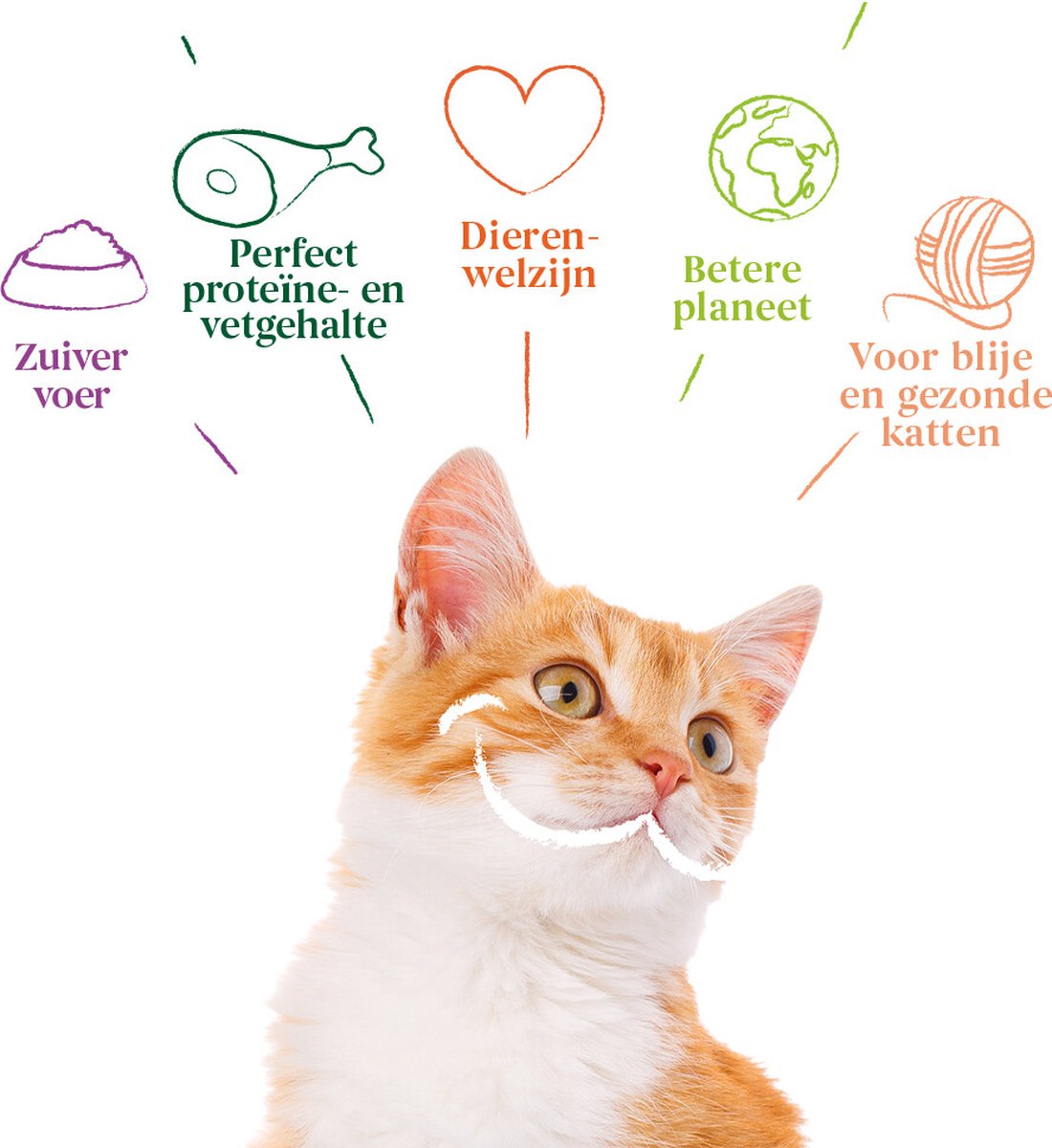 YARRAH BIOLOGISCHE KATTENVOER FILETS MET KALKOEN IN SAUS 14X85 GR cat illustration with benefits descriptions