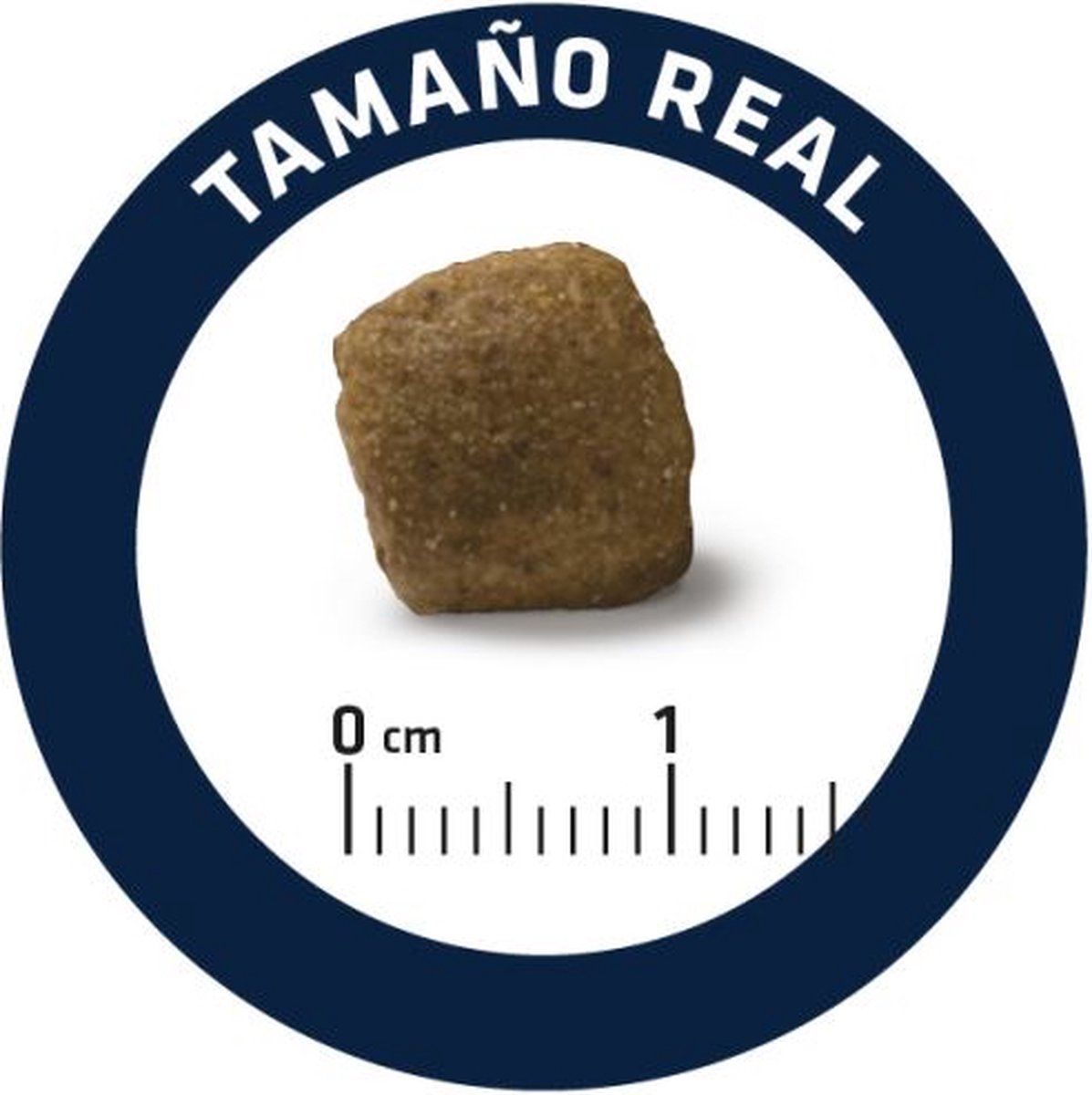 Advance veterinary diet dog articular gewrichten senior brokje in verhouding tot cm schaal