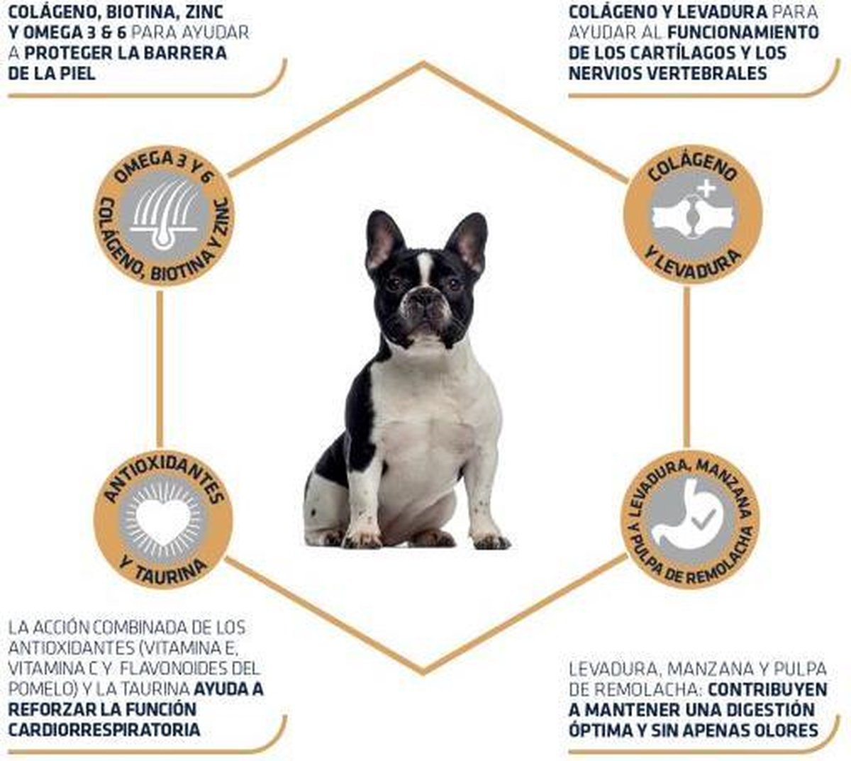 Advance Adult French Bulldog 7.5 kg voedingsinformatie met collageen, biotine, zink en omega 3 & 6 voor Franse bulldogs.