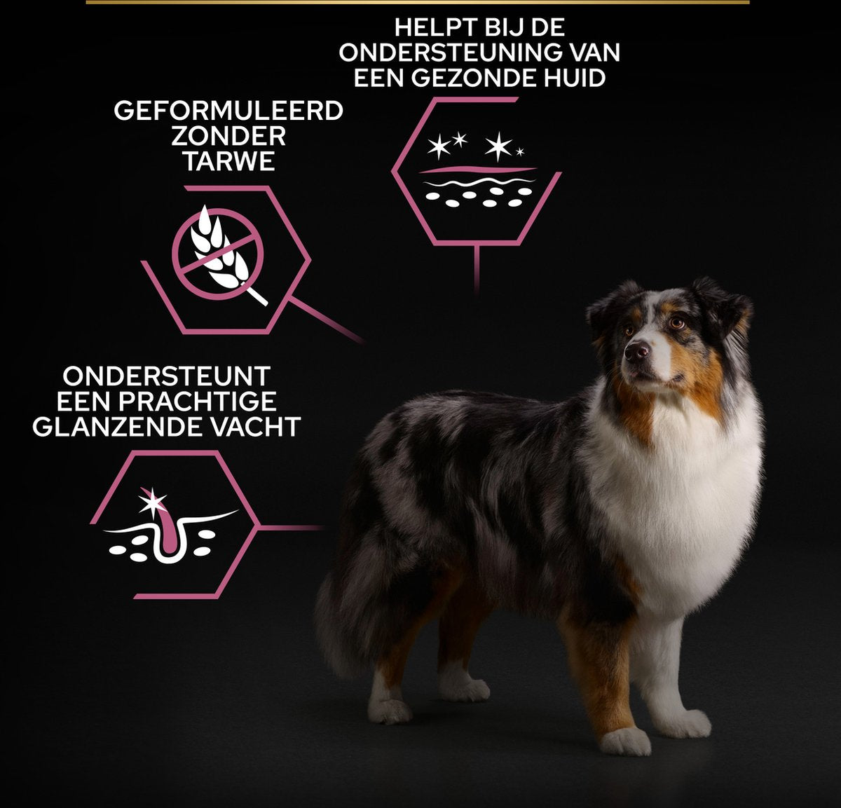 PURINA PRO PLAN Sensitive Skin Senior (7+) - Zalm - 14 kg