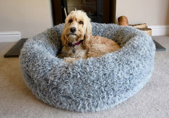Hond in de ROSEWOOD HONDENMAND SILVER FLUFF GRIJS, comfortabel en zacht nepbont