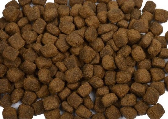 Excellent Budget Extruded Adult Lamb en Rice 10 kg hondenvoer voor volwassen honden, voedzame brokjes