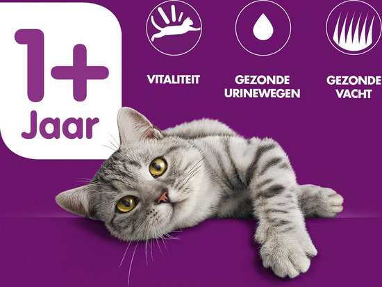 Whiskas 1+ Adult Katten Droogvoer - Kip - 3.8 kg verpakking met kat en informatie over vitaliteit en gezondheid