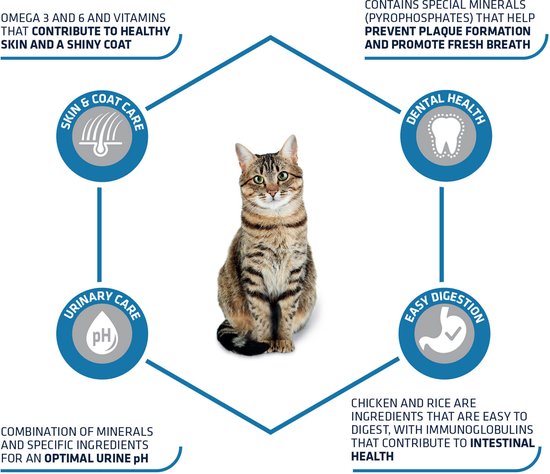 Advance - Adult - ChickenRice - Kattenvoer informatie over kattenvoer voordelen zoals hu skin en vachtverzorging en spijsvertering