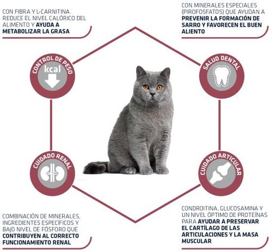 Advance - Sterilized Sensitive Senior 10+ Kattenvoer: Compleet voer met voordelen voor oudere gesteriliseerde katten.