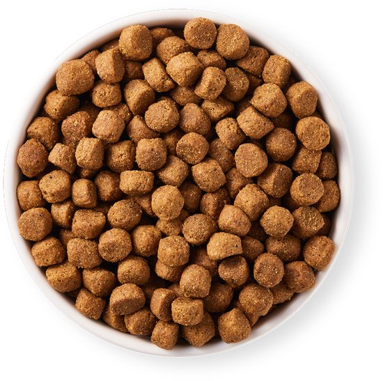 Yarrah Dog Biologische Brokken Kip 10 kg in een witte kom vol met gezonde hondenbrokken.