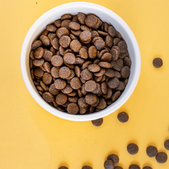 Natural Woodland glutenvrije hondenvoeding met kip in een witte kom met gele achtergrond.