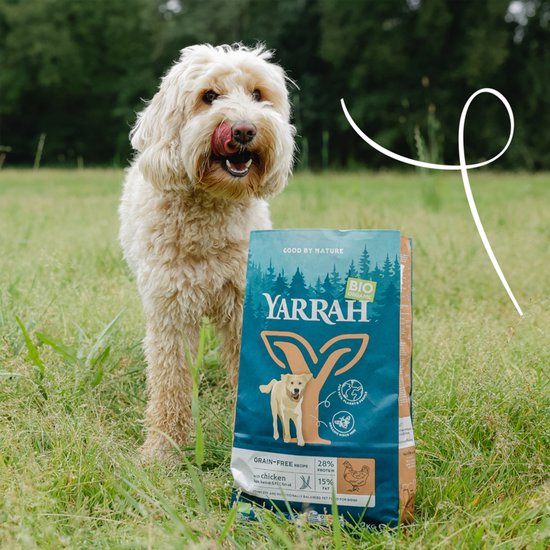 Yarrah Dog Biologische Brokken Graanvrij Kip en Vis 10 kg met een gelukkige hond in een weiland.