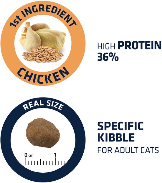 Advance - Adult - ChickenRice - Kattenvoer: Hoofdhebben, hoge eiwitinhoud en specifieke brokjes voor volwassen katten.
