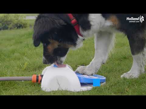 Fontanna wodna CoolPets Splash