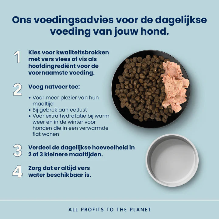 Almo Nature Life Maintenance Complete hondenvoer voor volwassen honden voedingsadvies en maaltijdsuggesties
