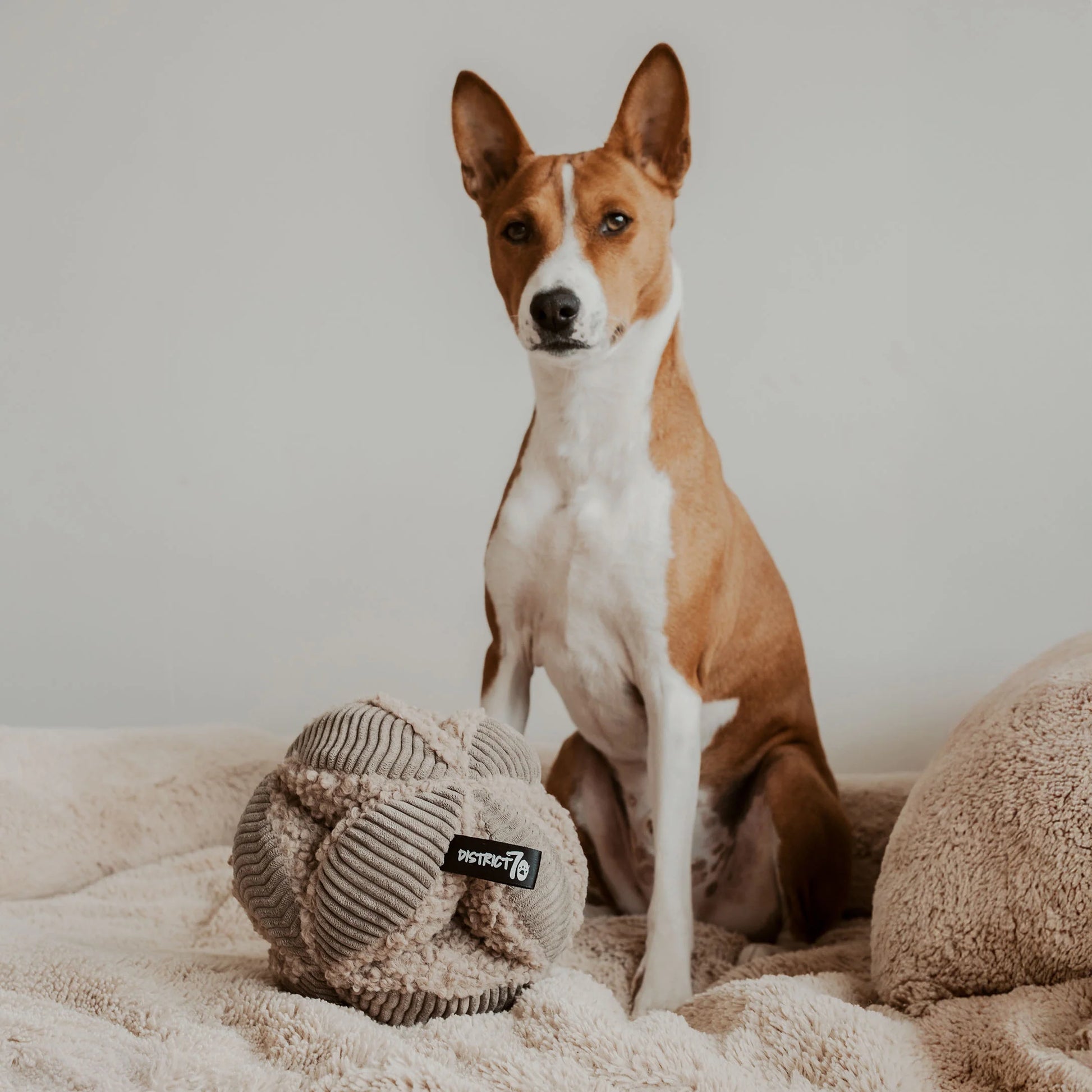 De BOBBY snuffelbal met een hond die ernaast zit op een zachte deken.