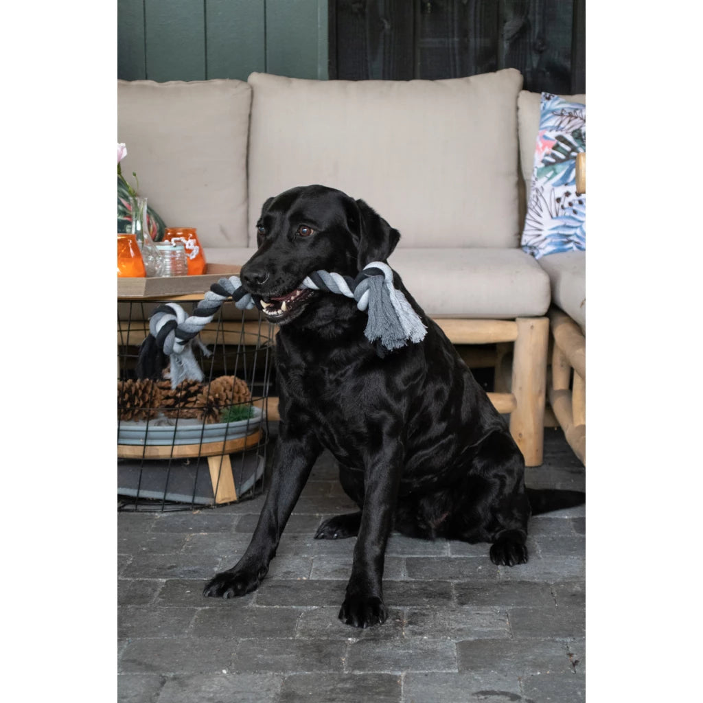 Floss Toss Dental Rope 3 Knot - 55 cm met een zwarte hond die speelt op een bank in de tuin.