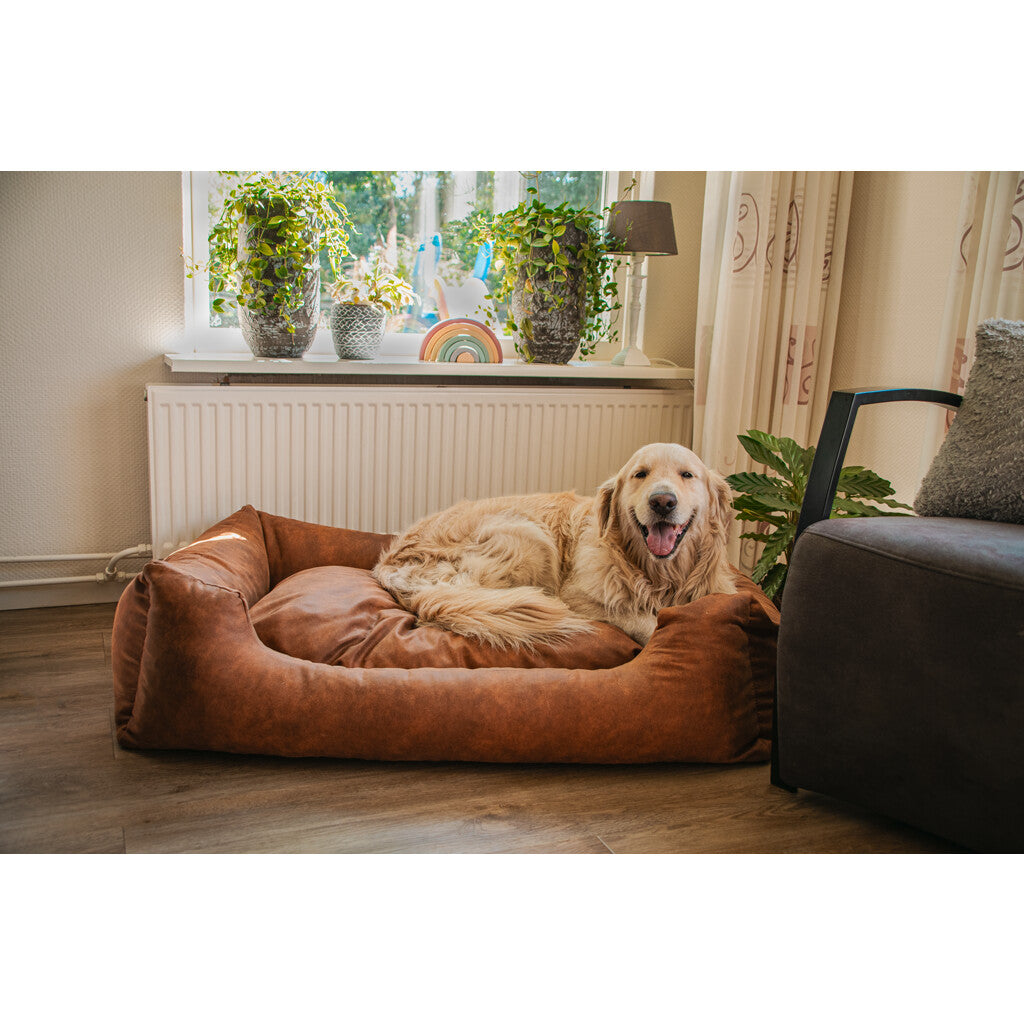 Hond ligt tevreden op de Let's Sleep Sweet Dreams Hondenmand Met Kussen in een zonnig interieur.