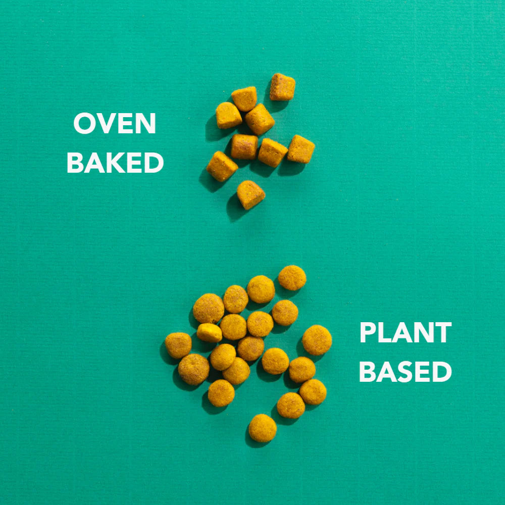 Imby Plant-Based Hondenvoer - Complete Hypoallergene Vegan Brokken voor Volwassen Honden op een groene achtergrond.