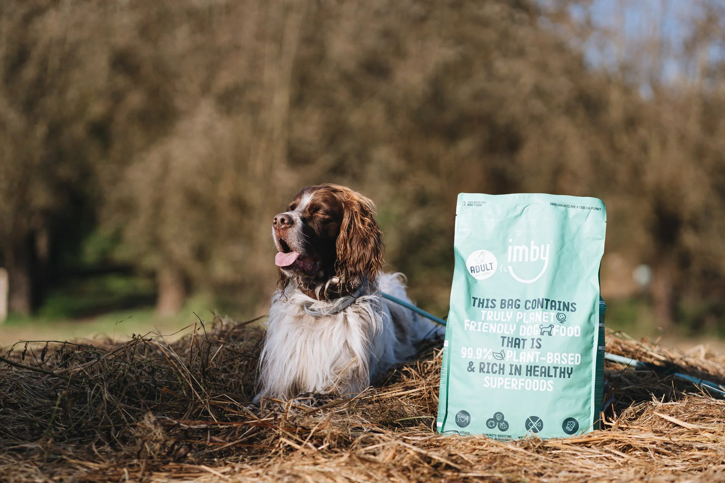Imby Plant-Based Hondenvoer - Complete Hypoallergene Vegan Brokken voor Volwassen Honden met een blije hond op de achtergrond.