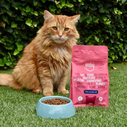 Imby Insect Kattenvoer Sterilisatie, Hypoallergeen & Duurzaam