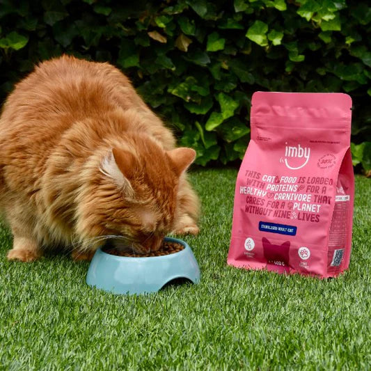 Imby Insect Kattenvoer Sterilisatie, Hypoallergeen & Duurzaam