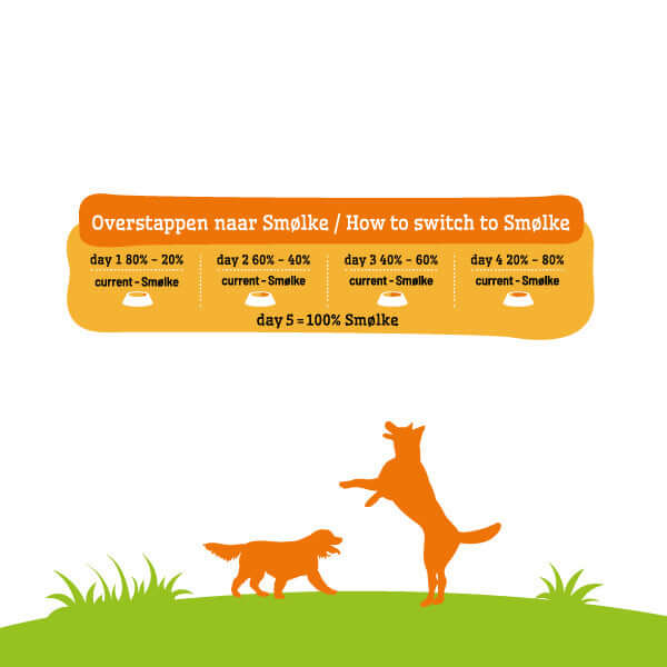 Overstappen naar Smølke voedingsschema met honden tijdens overgang naar SMOLKE ADULT MINI HONDENBROKKEN.