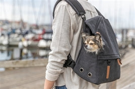 TRIXIE BE NORDIC HONDENTAS RUGTAS BJORN ZWART 35X20X40 CM rugtas met hondje aan het water